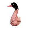 🦆