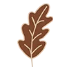 🍁