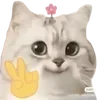 ✌️