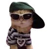 😎