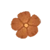 🌼