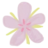 🌸