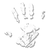🖐