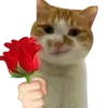 🌹