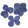 💐