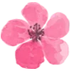 🌺