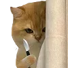 🔪