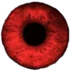 👁