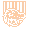 🐊