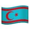 🇸🇾