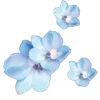 💐