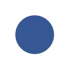🔵