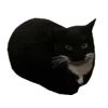 🕺