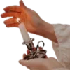 🪺