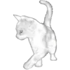 🐈