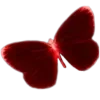 🦋