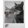 💋