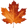 🍁