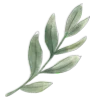 🌿