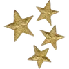 🌟