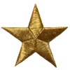 🌟