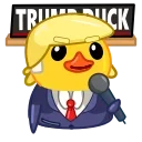😎