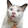 😱