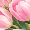 🌸