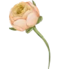 🌷