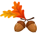 🍁