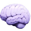 🧠