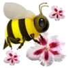 🐝
