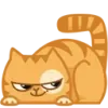 😼