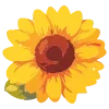 🌺