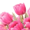 🌸