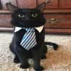 👨‍💼