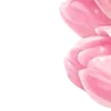 🌸
