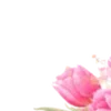 🌸