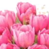🌸