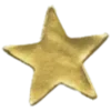 ✨