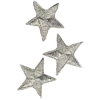 🌟