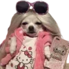 🐶