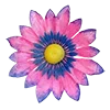 🌺