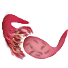 🫂