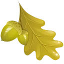 🍁