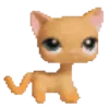 🏩