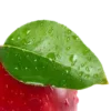 🍎