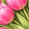 🌸