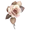 🌺