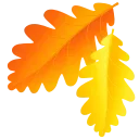 🍁